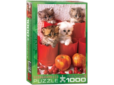 KITTENS IN POTS 1000pcs KITTENS IN POTS 1000pcs