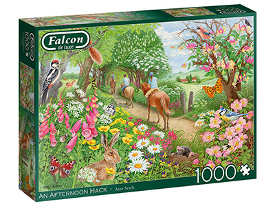 AN AFTERNOON HACK 1000pc