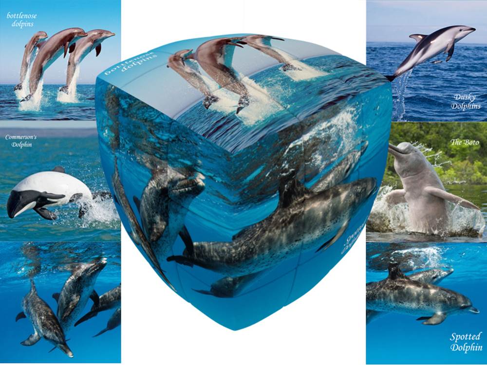 V-CUBE DOLPHINS 3x3 PILLOW