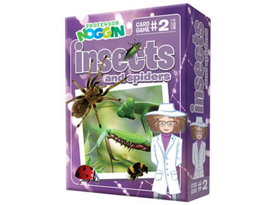 PROF.NOGGIN'S INSECTS SPIDERS