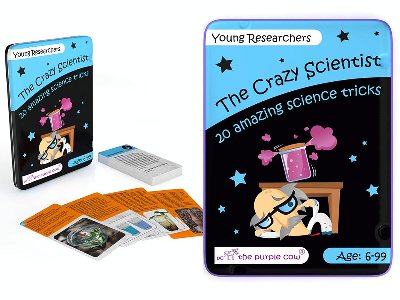 CRAZY SCIENT. YOUNG RESEARCHER