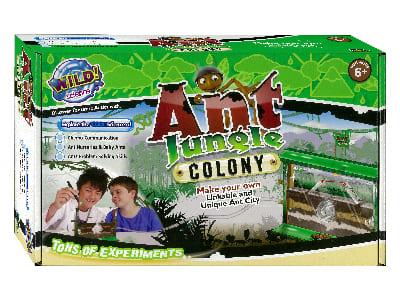 WILD SCIENCE ANT JUNGLE COLONY WILD SCIENCE ANT JUNGLE COLONY