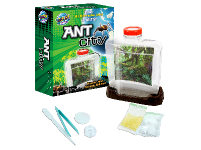 WILD SCIENCE ANT CITY WILD SCIENCE ANT CITY