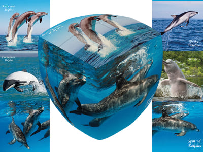 V-CUBE DOLPHINS 2x2 PILLOW