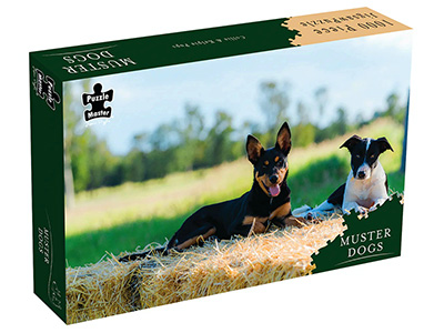 MUSTER DOGS COLLIE & KELPIE