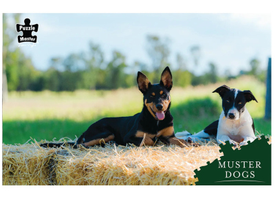 MUSTER DOGS COLLIE & KELPIE