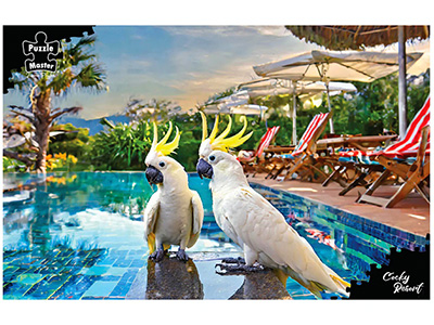 COCKY RESORT 1000pc