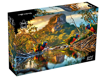 LORIKEET FRIENDS 1000pc