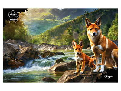 DINGOES 1000pc