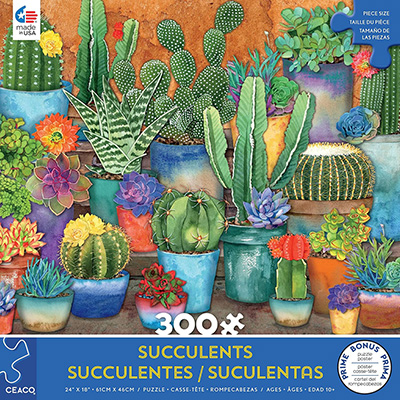 SUCCULENTS - SYNERGY 300pcXL