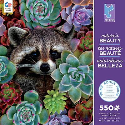 NATURE'S BEAUTY RACCOON 550pc