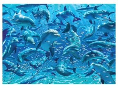 DOUBLE-TROUBLE 500pc DOLPHINS