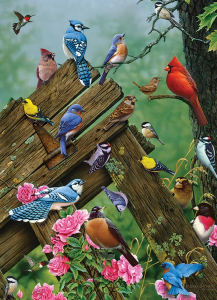 BIRDS OF THE FOREST 1000pc