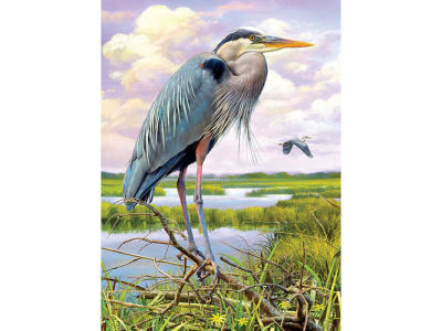 HERON 1000pc