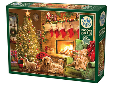 COZY FIREPLACE 1000pc