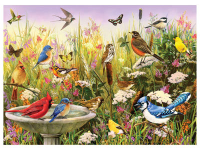 FEATHERED FRIENDS 1000pc