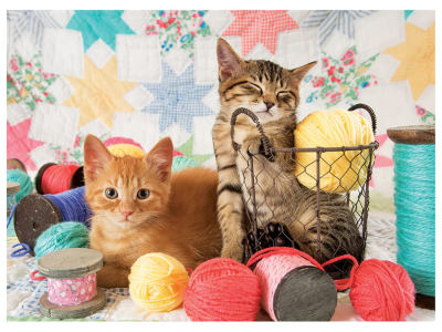 BALLS OF FLUFF 1000pc