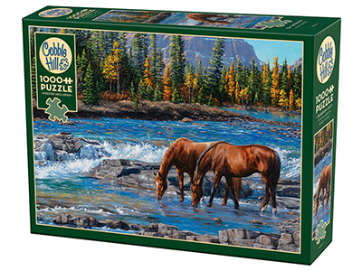 ON THE ROCKS 1000pc