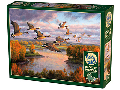 MIGRATION 1000pc