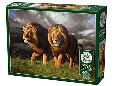 APPROACHING STORM 1000pc