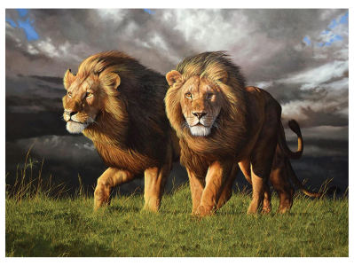 APPROACHING STORM 1000pc