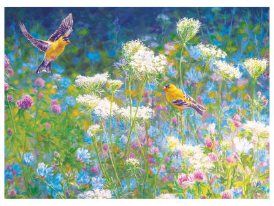 VISITING THE MEADOW 1000pc