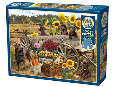 CHOC WAGON 500pc