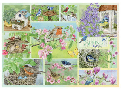 GARDEN BIRDS IN SPRING 500pc