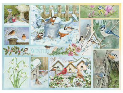 GARDEN BIRDS IN WINTER 500pc