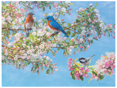 BLOSSOM FESTIVAL 275pcXL