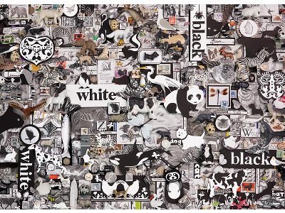 BLACK AND WHITE ANIMALS 1000pc