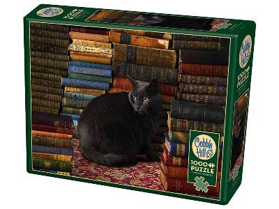 LIBRARY CAT 1000pc