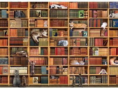 THE CAT LIBRARY 1000pc