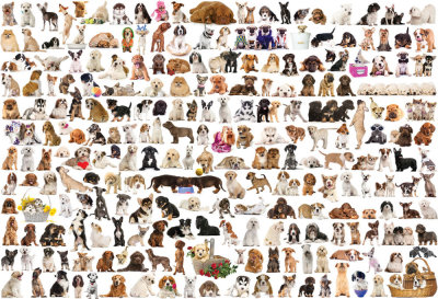 THE WORLD OF DOGS 2000pc