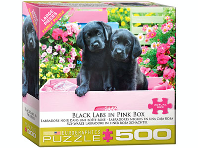 BLACK LABS IN PINK BOX 500pcXL