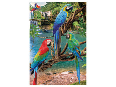 MACAWS 250pc