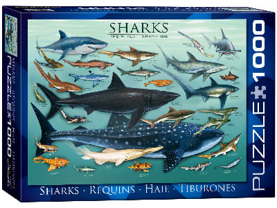 SHARKS 1000pc