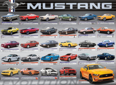 FORD MUSTANG EVOLUTION 1000pc