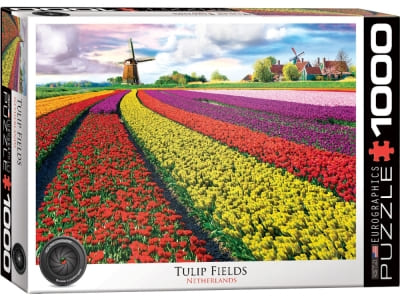 TULIP FIELDS NETHERLANDS