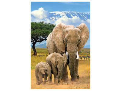 ELEPHANTS 250pc