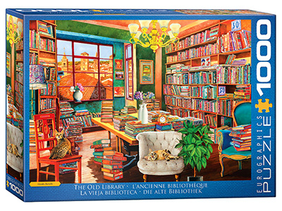 THE OLD LIBRARY 1000pc