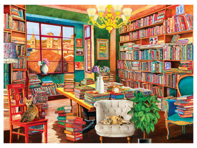 THE OLD LIBRARY 1000pc