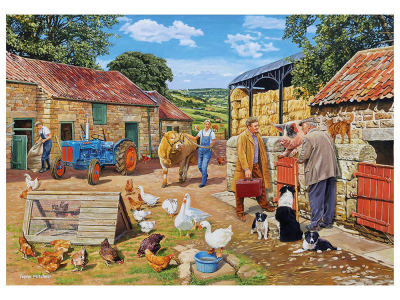 CALL THE VET 4x500pc