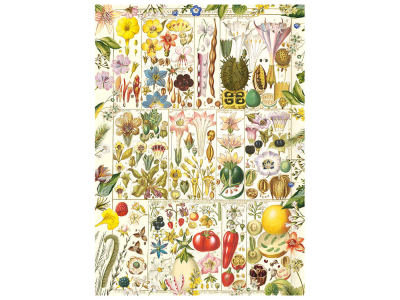 RHS BOTANICAL BLISS 1000pc