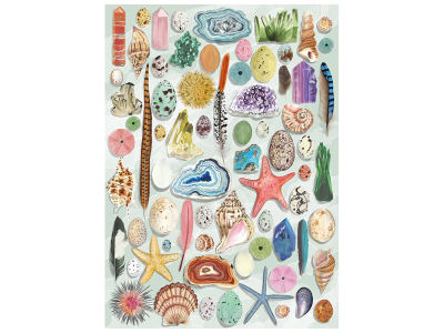 ART FILE NATURAL CURIOSITIES