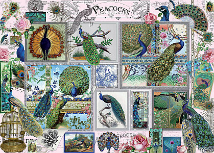 STAMP & COLLAGE PEACOCKS 1000p