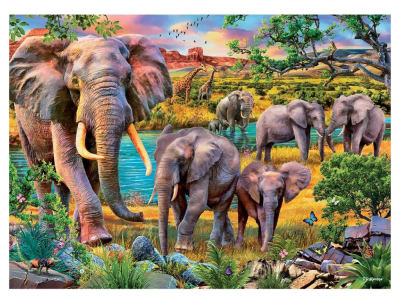 CALL o/t WILD ELEPHANTS 1000pc