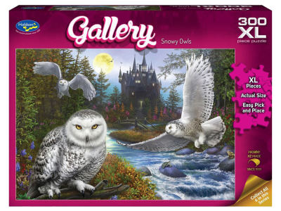 GALLERY 10 SNOWY OWLS 300pcXL
