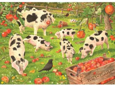 KITH & KIN ORCHARD PIGS 1000pc