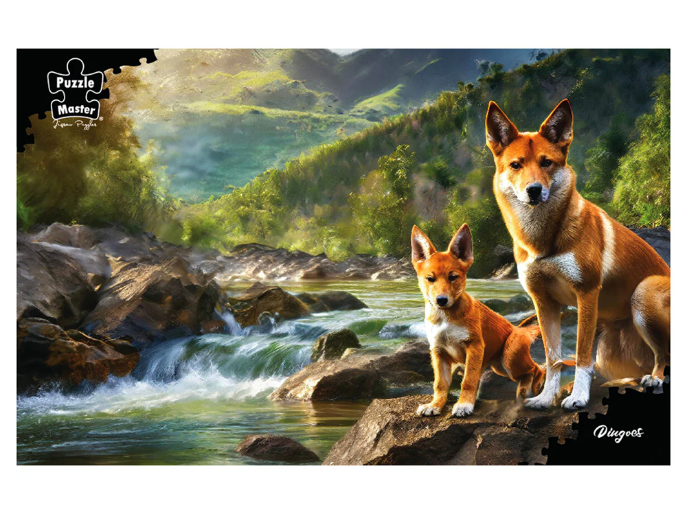 DINGOES 1000pc